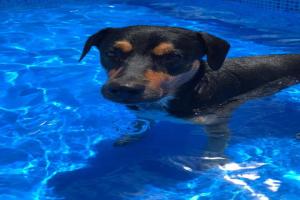 Miniatura publicación